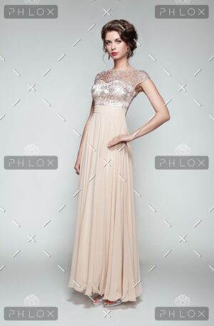 Embroidered Mesh Maxi Dress